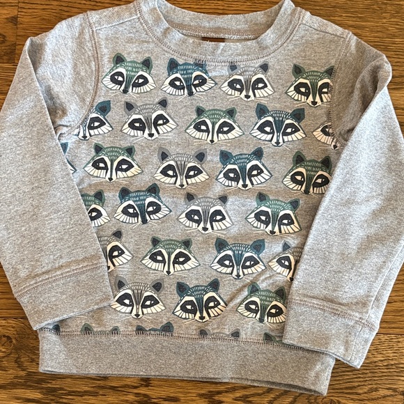 Tea Collection Gray Raccoon Pattern Sweatshirt - Picture 1 of 3